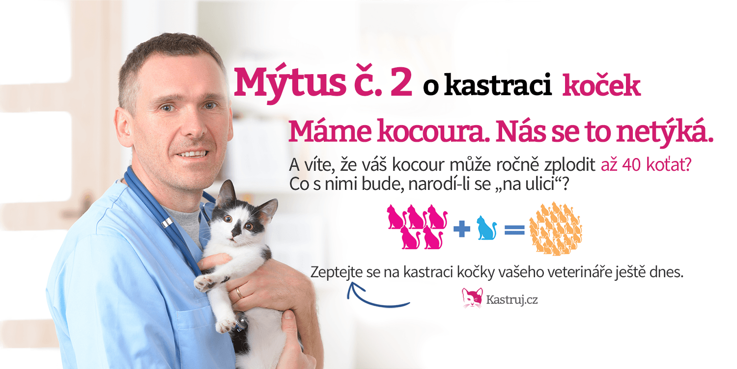 FB-mytus-kastrace-kocky-2